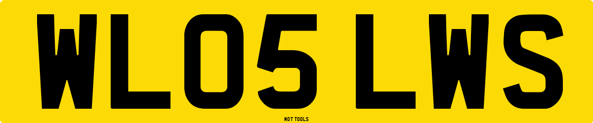 WL05LWS MOT Check