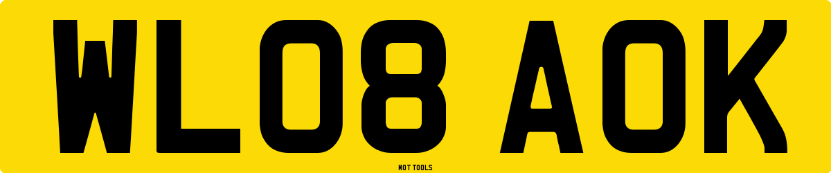 WL08AOK MOT Check