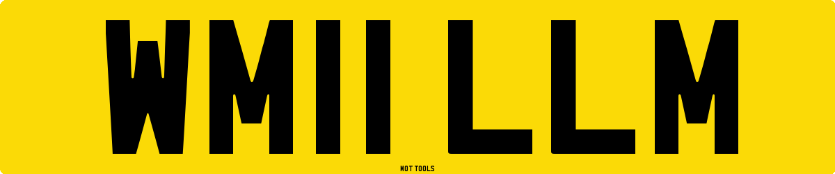 WM11LLM MOT Check