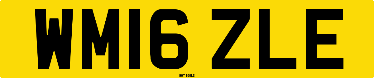 WM16ZLE MOT Check