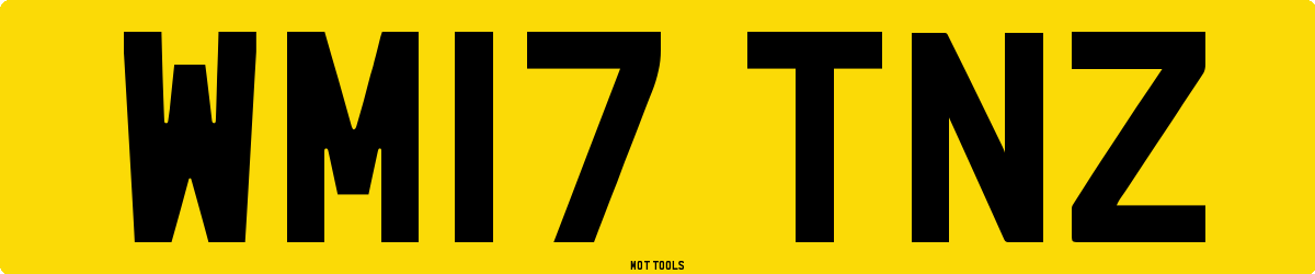 WM17TNZ MOT Check
