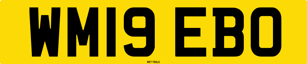 WM19EBO MOT Check