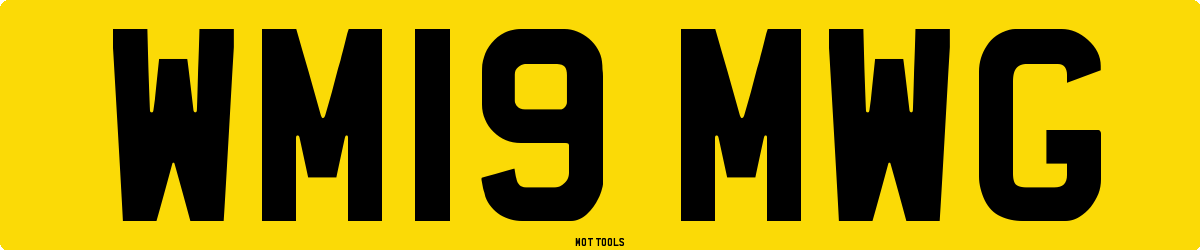 WM19MWG MOT Check