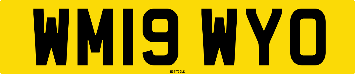 WM19WYO MOT Check