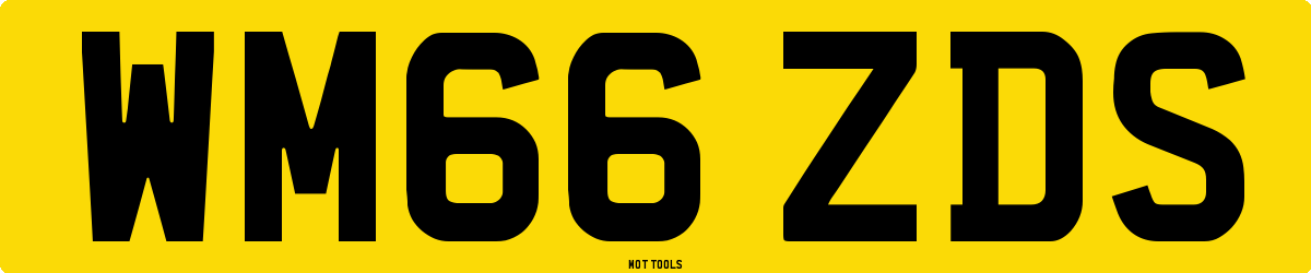 WM66ZDS MOT Check