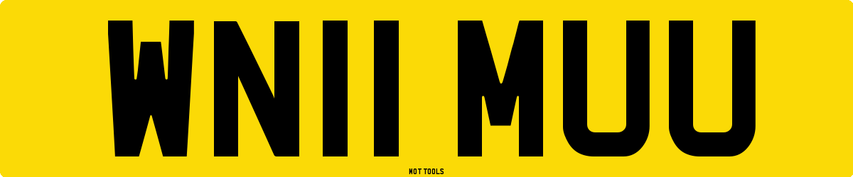 WN11MUU MOT Check