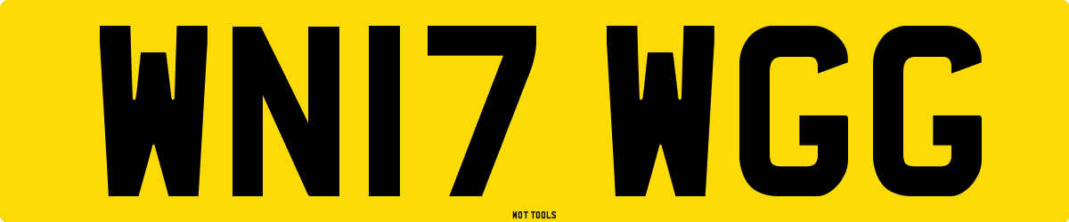 WN17WGG MOT Check