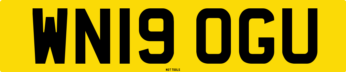 WN19OGU MOT Check