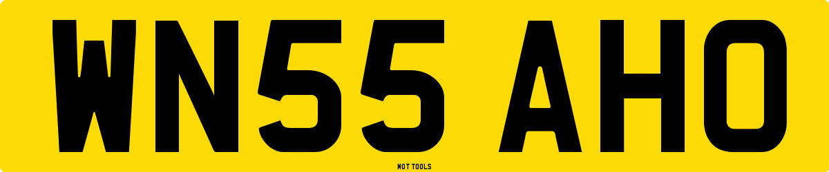 WN55AHO MOT Check