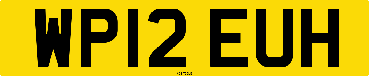 WP12EUH MOT Check