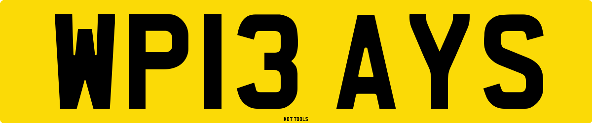 WP13AYS MOT Check