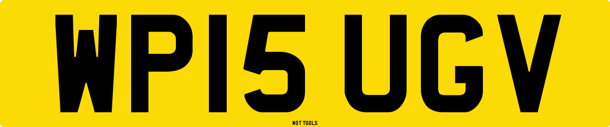 WP15UGV MOT Check