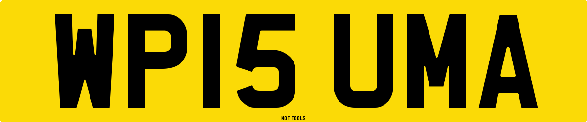 WP15UMA MOT Check