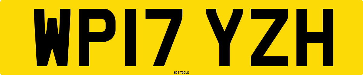 WP17YZH MOT Check