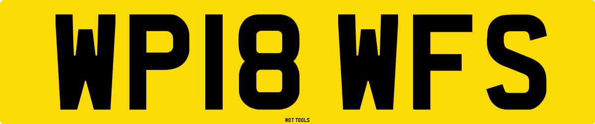 WP18WFS MOT Check