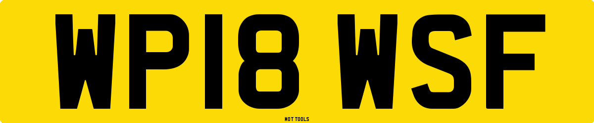WP18WSF MOT Check