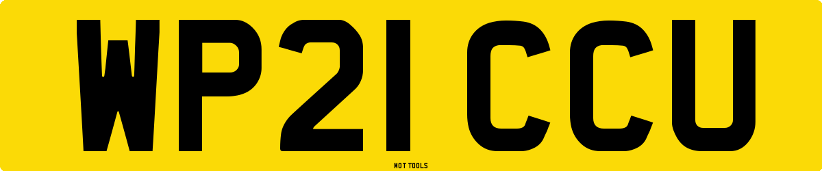 WP21CCU MOT Check