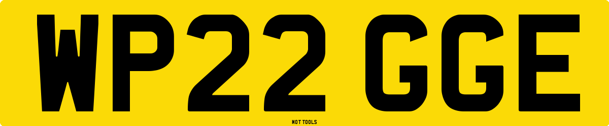 WP22GGE MOT Check