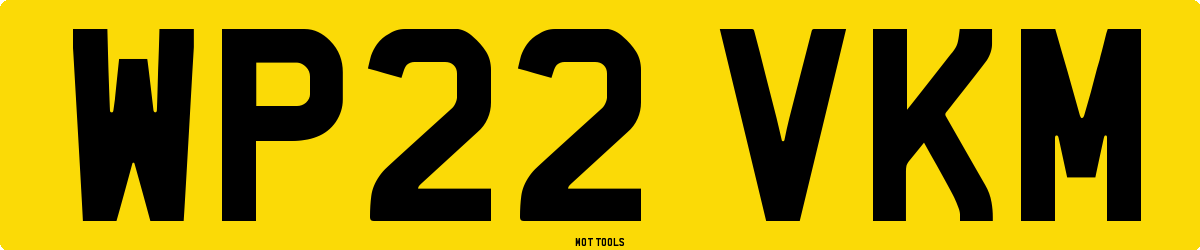 WP22VKM MOT Check