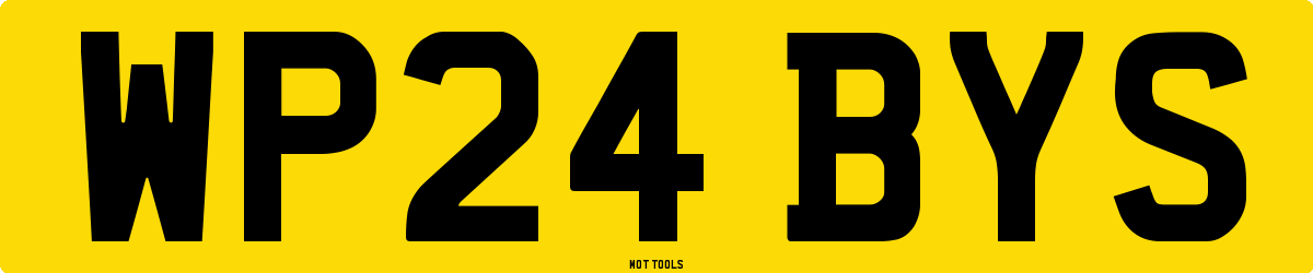 WP24BYS MOT Check