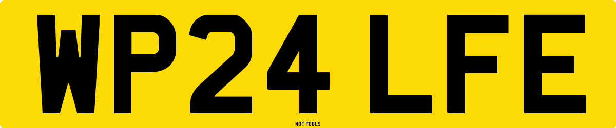 WP24LFE MOT Check