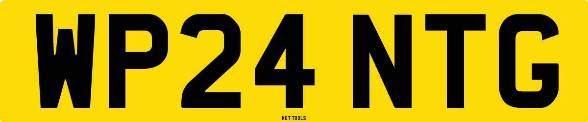 WP24NTG MOT Check