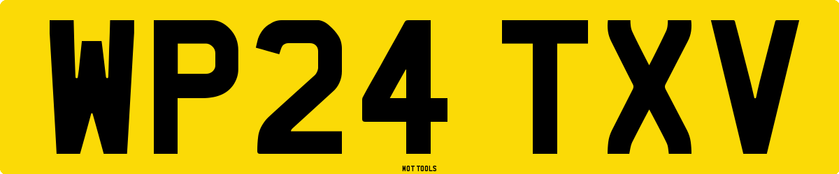 WP24TXV MOT Check