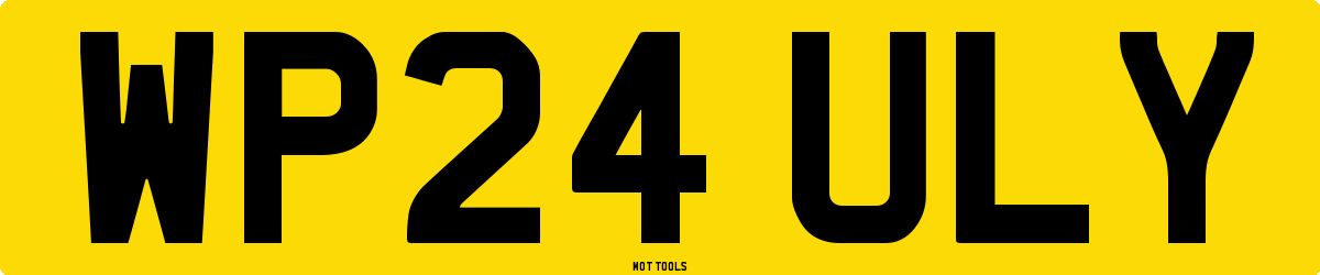 WP24ULY MOT Check