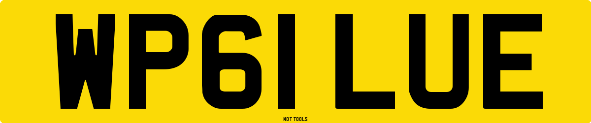 WP61LUE MOT Check