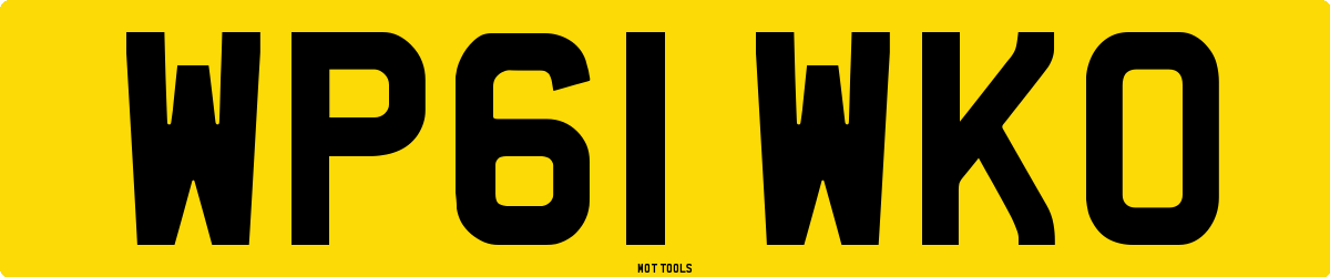 WP61WKO MOT Check