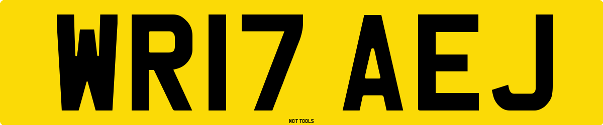 WR17AEJ MOT Check