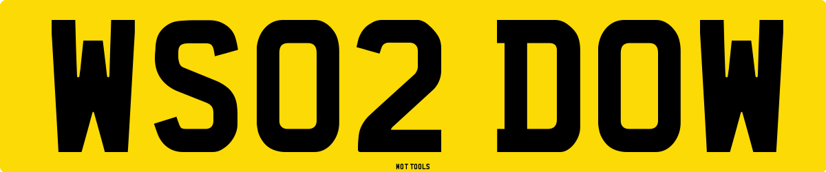WS02DOW MOT Check