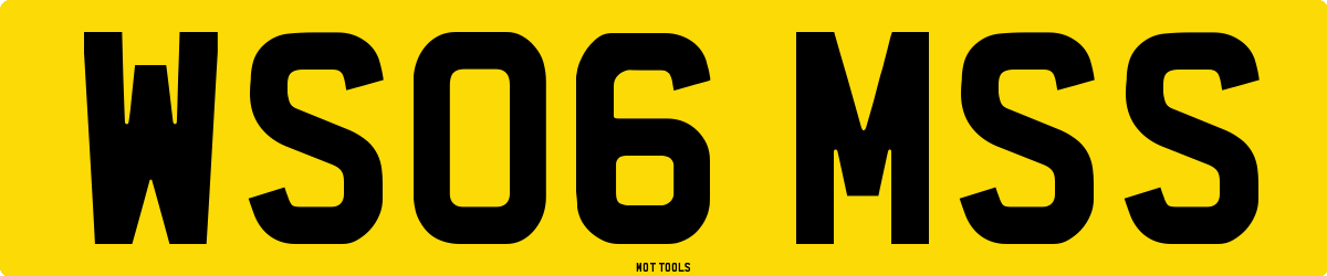 WS06MSS MOT Check