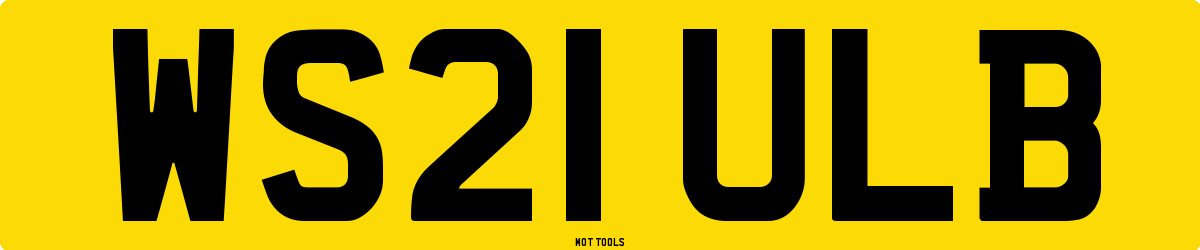 WS21ULB MOT Check