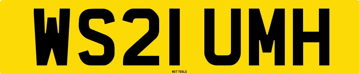 WS21UMH MOT Check