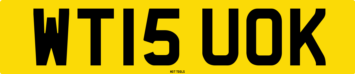 WT15UOK MOT Check