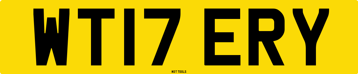 WT17ERY MOT Check