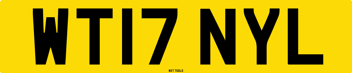 WT17NYL MOT Check