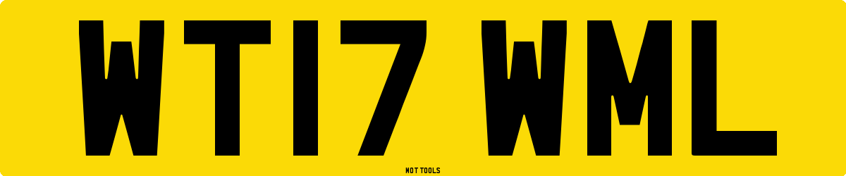 WT17WML MOT Check