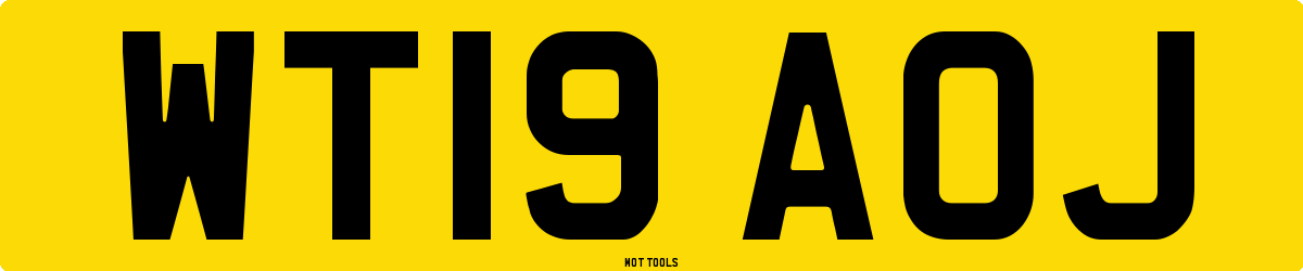 WT19AOJ MOT Check