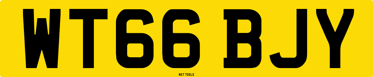 WT66BJY MOT Check