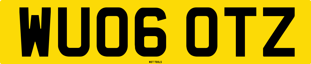 WU06OTZ MOT Check