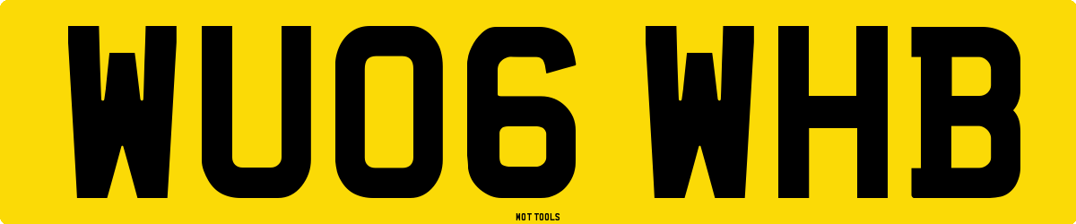 WU06WHB MOT Check