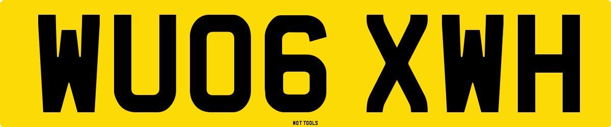 WU06XWH MOT Check