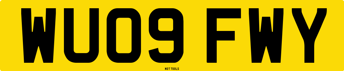 WU09FWY MOT Check