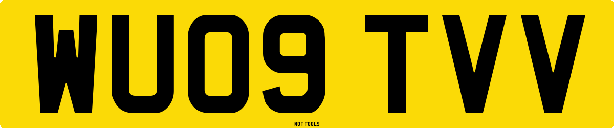 WU09TVV MOT Check