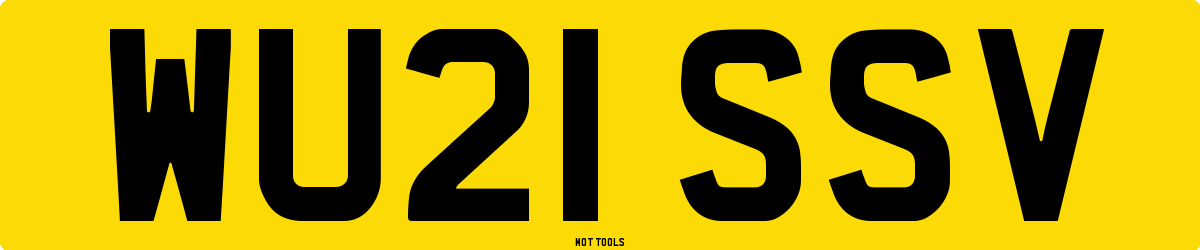 WU21SSV MOT Check