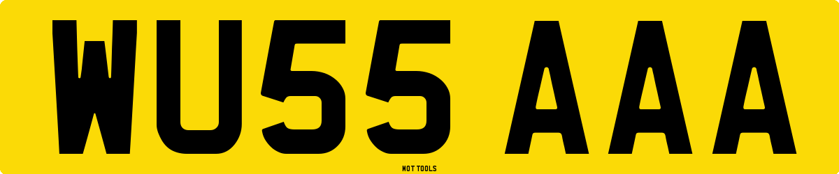 WU55AAA MOT Check