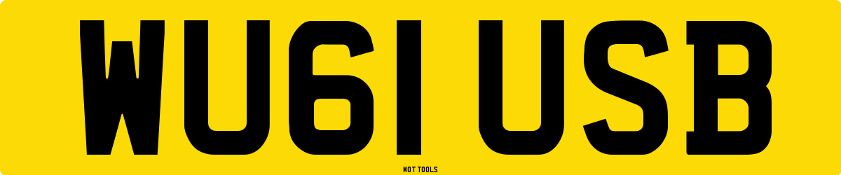 WU61USB MOT Check