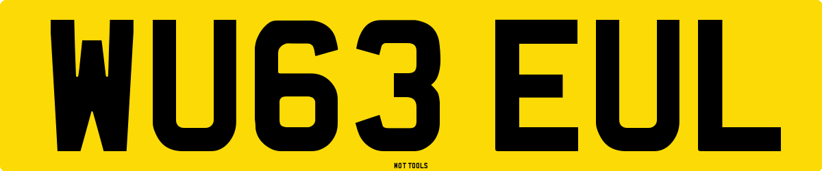 WU63EUL MOT Check